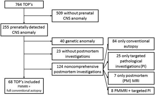 Figure 1. Flowchart included and excluded cases. TOP: termination of pregnancy; CNS: central nervous system; PMMR: postmortem MR; PI: Pathological investigations. Genetic anomaly: chromosomal anomaly + anomaly detectable by array comparative genomic hybridization (CGH).