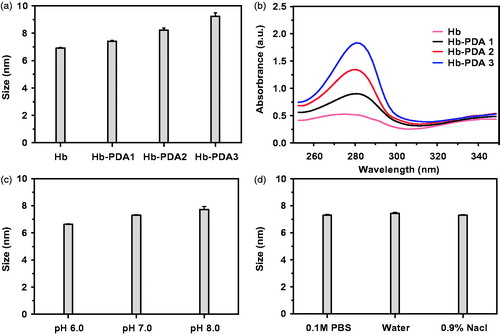 Figure 1. Characterizations of synthesized Hb-PDA nanoparticles with different preparation parameters. (a) Particle sizes using different mass ratios of DA/Hb from 1/10 to 1/2.5. (b) UV–vis absorption spectrum of synthesized nanoparticles with different mass ratios of DA/Hb. (c) Particle sizes with different pH value in 0.1 M PBS buffer. (d) Particle sizes in different types of buffers with the same pH (7.0).