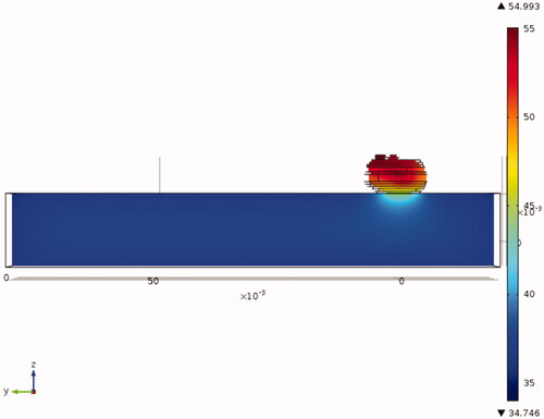 Figure 6. Temperature contours in the tumour and the mouse body in the COMSOL simulations.