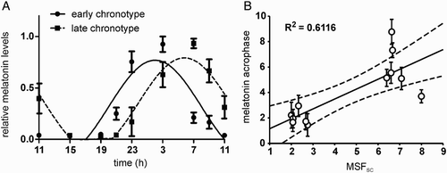 FIGURE 1.  Melatonin profiles and their correlation with chronotype. (A) Grouped 24-h melatonin profiles for subjects with early (full circle) and late (full square) chronotypes. The data were expressed as the mean ± SEM (each chronotype n = 6) and fitted with a cosine curve to determine the acrophase of the rhythms. The acrophase of the early chronotypes (full line) occurred earlier than those of the late chronotypes (dashed line). (B) Relationship between acrophases of the 12 individual melatonin profiles (means ± SD) and their corresponding individual mid-sleep phases corrected for the sleep debt accumulated during workdays (MSFSC). The solid line shows the best-fit linear regression, the dashed lines represent 95% confidence intervals to the regression line, and R2 represents the goodness of fit. For details see Materials and Methods.