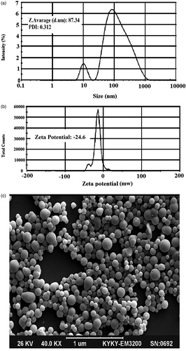 Figure 1. Particle size distribution (a), zeta potential value (b), and scanning electron microscopy image of optimized formulation (c).