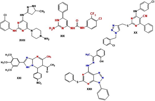 Figure 3. Reported pyrimidine derivatives (XVIII–XXII) with apoptotic activity.