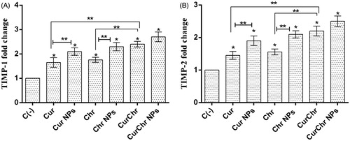 Figure 6. Effect of CurChr NPs on gene expression of TIMPs in melanoma tumours in C57Bl6 mice. Effect of pure and nano formulated single and combination modalities of curcumin and chrysin on gene expression of (A) TIMP-1 and (B) TIMP-2 is shown. Compared to the negative control (C−), the expression of TIMP-1 and TIMP-2 genes was significantly upregulated in all treated groups. Combination groups showed the highest amount of increase in expression of these two genes and the observed increase was greater in nano groups compared to the pure groups for both genes. * and ** denotes p < .05 and p < .01, respectively.