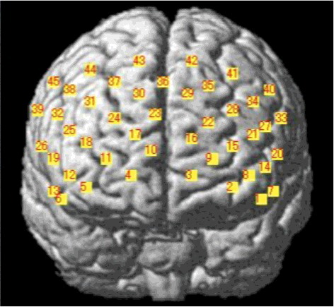 Figure 5. Specifying brain coordinate locations using NIRS-SPM.