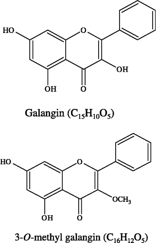 Figure 1 Structures of galangin and 3-O-methyl galangin.
