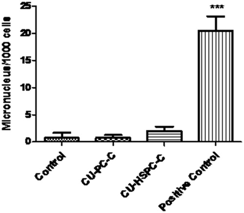 Figure 9. (A and B) Results of the micronucleus assay conducted in bone marrow cells of mice. ***p < 0.0001.