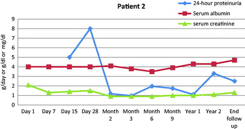 Figure 4. Time course of 24-h proteinuria (g/day), serum albumin (g/dl) and serum creatinine (mg/dl) for one of the four patients who received rituximab in addition to IA. Renal function remained stable while proteinuria went into remission.