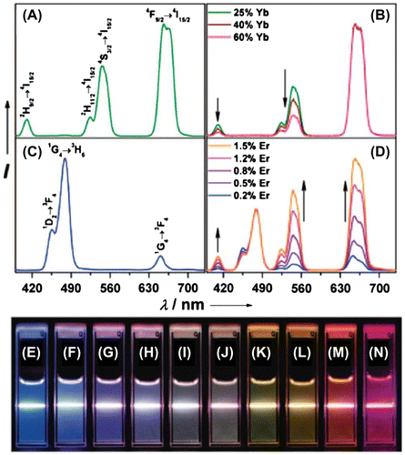 Figure 2. Upconversion emission (λexc = 980 nm) for (A) NaYF4:Er3+/Yb3+ (2/18 mol%), (B) NaYF4:Tm3+/Yb3+ (0.2/20 mol%), (C) NaYF4:Er3+/Yb3+ (2/25–60 mol%), and (D) NaYF4:Er3+/Tm3+/Yb3+ (0.2–1.5/0.2/20 mol%) nanoparticles in ethanol (10 mM). Photos of the emission of colloidal solutions of (E) NaYF4:Tm3+/Yb3+ (0.2/20 mol%), (F–J) NaYF4:Er3+/Tm3+/Yb3+ (0.2–1.5/0.2/20 mol%), and (K–N) NaYF4:Er3+/Yb3+ (2/25–60 mol%). Camera exposure times of 3.2 s for (E–L) and 10 s for (M) and (N). Reprinted with permission from [Citation34]. Copyright © 2008, American Chemical Society.