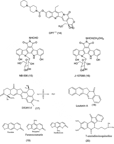 Figure 5.  Structures of novel topoisomerases I inhibitor.