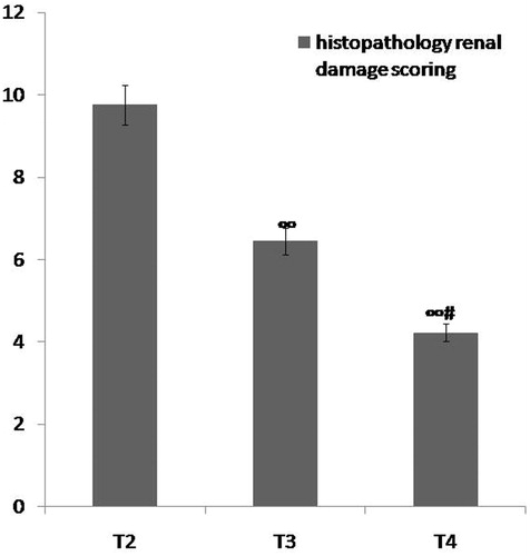 Figure 8. Comparison between group T2 (ARF model group), group T3 (ABE 100 mg/kg/day for 7 days) and group T4 (ABE 100 mg/kg/day for 7 days) regarding renal histopathological scoring when assessed 7 days after induction of ARF. Notes: The statistical significance between the treated groups (T3, T4) and T2 model group was determined using Tukey's test. ∞p < 0.001 versus T2 ARF model group, #p < 0.001 versus T3 ABE (100 mg/kg/day)-treated group. T: treatment, ABE: Açai berry extract, ARF: acute renal failure.