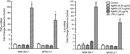 Figure 4. Inflammatory cytokine gene expression following exposure. RAW 264.7 or MPRO 2.1 cells were exposed to the AgNP (at 6.25, 12.5, or 25 μg/ml) for 6 hr. TNFα and IL-6 gene expression in the cells was then measured by real-time PCR. Values shown are means ± SEM (N ≥ 3). *p < 0.05 vs. control.