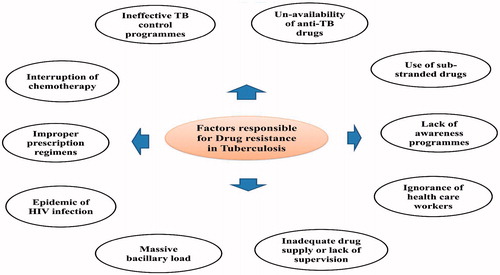 Figure 5. Factors responsible for drug resistance in tuberculosis treatment.