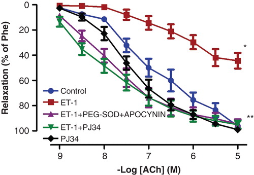 Figure 1. Endothelium-dependent relaxation responses to ACh in controls, ET-1-incubated, ET-1 and PEG-SOD plus apocynin-incubated, ET-1 and PJ34-incubated, and PJ34-incubated thoracic aorta rings. All values are expressed as mean ± standard error of the mean; *p < 0.05 as compared with controls; **p < 0.05 as compared with ET-1-incubated rings; n = 10 for all groups.