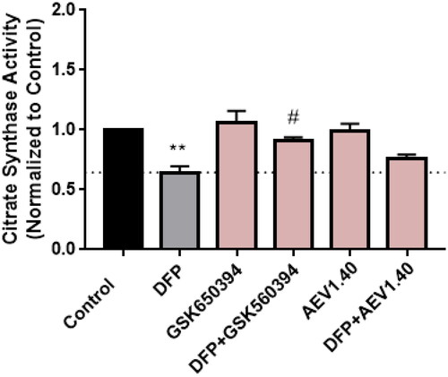 Figure 10. Citrate synthase activity in SH-SY5Y cell line. Cells were treated with DFP 1 mM and/or GSK650394 and AEV1.40 10 μM for 24 h. Data represents mean ± SEM of four independent experiments. (Significance was determined by one-way ANOVA followed by Dunnett’s multiple comparison test to control, where ** p < 0.01 versus control and # p < 0.05 versus DFP).