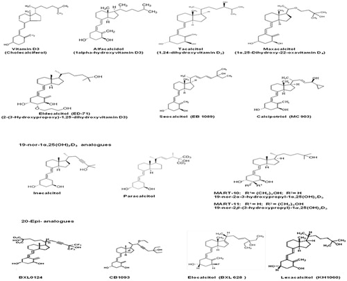 Figure 2. The chemical structure of Vitamin D analogues endowed with cancer chemo-preventive activity.