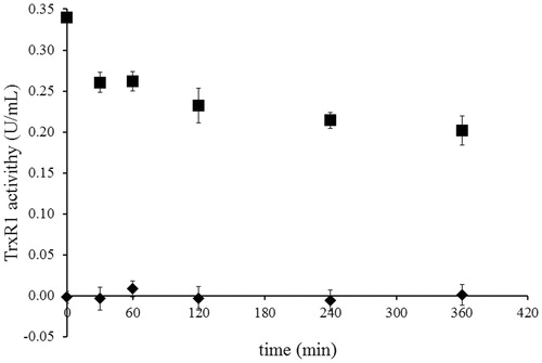 Figure 4. Determination of the irreversibility of TrxR1 inhibition by NACC via dialysis. The activity of 0.34 unit/mL rat liver TrxR1 was completely inhibited by incubation at room temperature with NACC (1 mM) in the presence of 0.25 mM NADPH for 30 min. Then extensive dialysis was performed in a Slide-A-Lyzer dialysis cassette (Thermo) for 6 h. Aliquots were withdrawn at indicated time intervals, and the remaining TrxR1 activity was determined as described in the TrxR1 assay. No recovery of enzyme activity was observed after 6 h of dialysis for NACC-treated enzyme. The results are presented as the means ± S.D. of three independent experiments. ▪, control; ♦, NACC treated.