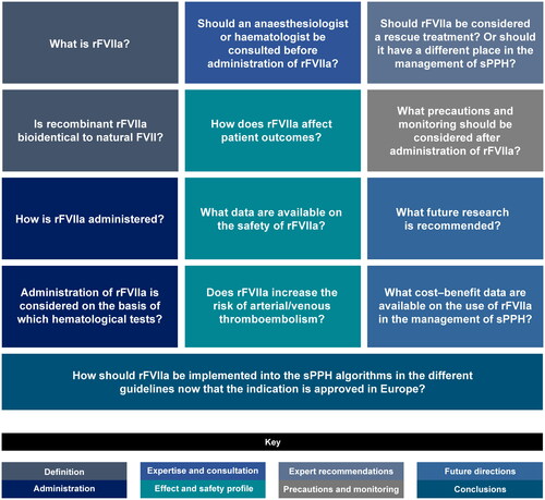 Figure 2. Questions discussed by the Steering Committee during the face-to-face meeting. All participants reviewed the final statements offline after the meeting.