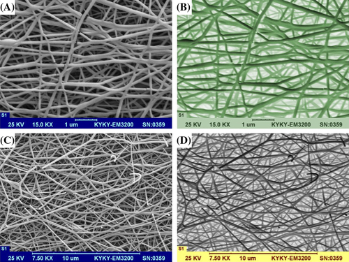 Figure 3. SEM images of the PCL nanofibers; (A) 15KX resolution of PCL, (B) Invert color effected figure for better view of scaffold depth, (C) 7.5KX resolution of PCL, (D) Invert color effected for better view of scaffold depth.