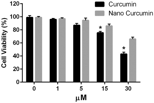 Figure 6. Effect of different concentrations of free curcumin and nanoformulated curcumin for 24 h on peritoneal macrophage viability. Macrophage viability was determined by MTT assay. Data were expressed as the mean ± SD of 3 independent experiments. *p < .05 compared to 15 and 30 μM nano-curcumin.
