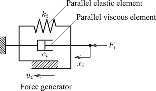 Figure 2. Force generation model of the actuator. It consists of an elastic element, a viscous element, and a force generator that generates active forces.