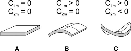 Figure 8.  Schematic figure of the favorable shapes of flexible membrane raft elements with different intrinsic (spontaneous) principal curvatures C1m and C2m. (A) isotropic shape for C1m=C2m=0; (B) anisotropic shape for C1m>0 and C2m=0; and (C) anisotropic shape for C1m>0 and C2m<0.