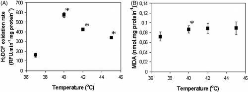 Figure 4. Temperature dependence of ROS production (A) and lipid peroxidation (B) in isolated rat heart mitochondria. Averages from three independent experiments ± SEM; *Statistically significant difference, p < 0.05.
