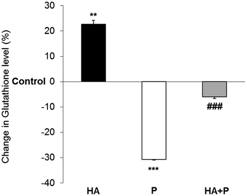 Figure 4. GSH values in liver of control and Habb-e-Asgand (HA), paracetamol (P) and Habb-e-Asgand + paracetamol (HA + P) exposed Swiss albino mice. The values are expressed as means ± SE (n = 5). GSH values obtained as nmole GSH/g tissue which are expressed here as percent change with respect to the control group. The significance levels observed is **p < 0.01 and ***p < 0.001 when compared with control group values and ###p < 0.001 when compared with the paracetamol-treated group.