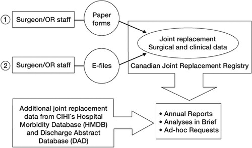 Figure 1.  Canadian Joint Replacement Registry Data Flow Diagram (adapted with permission from the CJRR 2009 report).