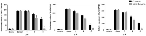 Figure 8. In vitro anti-inflammatory study in peritoneal macrophages. expression of pro-inflammatory cytokines, TNF-α, IL-1β, and IL-6 mRNA level at 24 h after treatment of macrophages with free curcumin and curcumin-encapsulated HA–PLA NPs, followed by stimulation with LPS/IFN-γ. qPCR was applied to measure mRNA levels. *p < .05 versus LPS/IFN-γ-treated group, n = 3.