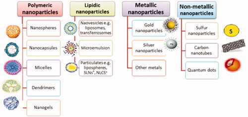 Figure 3. Various types of nanocarriers used for topical drug delivery.