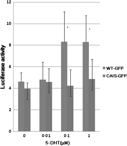 Figure 2.  Transactivation activity. COS-7 cells were transfected with GFP-wild-type and CAIS AR plasmids and subjected to luciferase assay. Values are expressed as means ± SD of three independent experiments performed in duplicates. *P < 0.05 versus WT.