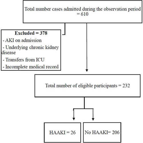 Figure 1 Selection of study participants to be included in the final analysis, January 2020 to January 2022, Ethiopia. AKI: Acute Kidney Injury, HAAKI: Hospital-Acquired Acute Kidney Injury, ICU: Intensive Care Unit.