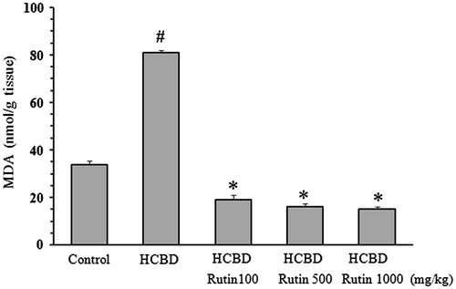 Figure 3. Effect of rutin on lipid peroxidation in the kidney homogenate of rats treated with hexachlorobutadiene (HCBD). Rutin was administrated intraperitoneally 1 h before HCBD injection (100 mg/kg, i.p.). Control rats were received saline as vehicle. The lipid peroxidation level was estimated by measuring the concentration of malondialdehyde (MDA). Data are shown as mean ± SEM (n = 6). #p < 0.001 compared to control; *p < 0.001 as compared with HCBD group.