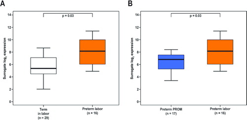 Figure 2.  The amount of Mn SOD mRNA was higher in the fetal membranes of patients presenting with spontaneous preterm labor without histological chorioamnionitis than (A) in women with spontaneous labor at term (7.2-fold, p = 0.03) or (B) in patients presenting with preterm PROM without histological chorioamnionitis (3.2-fold, p = 0.03).