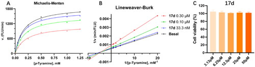 Figure 5. Kinetic study and cytotoxicity assay of compound 17d. Mode of MAO-B inhibition saturation curves (A) and Lineweaver − Burk plot (B) of the inhibition of MAO-B enzyme by different concentrations of 17d (0, 33.3, 100, and 300 nM) in the presence of p-tyramine (0.05, 0.1, 0.25, 0.5, 1.0, and 1.25 mM) as a substrate. The Cytotoxicity effect of compound 17d on PC-12 cells (C).