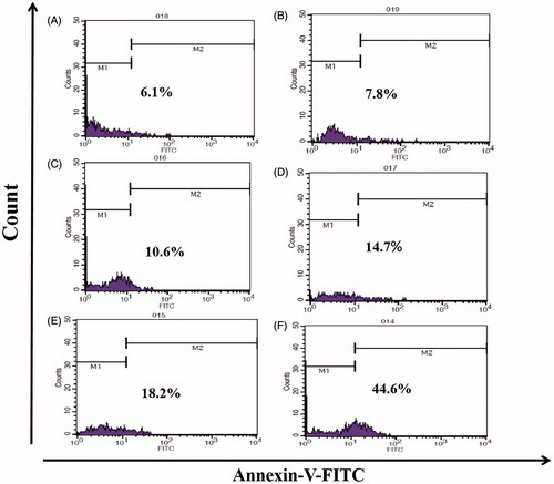 Figure 7. Flow cytometry of A549 cells using Annexin V–FITC, (A) no treatment, (B) treatment with Chi/CMD, (C) free DOX, (D) Chi/siRNA/CMD, (E) Chi/DOX/CMD and (F) Chi/siRNA/DOX/CMD.