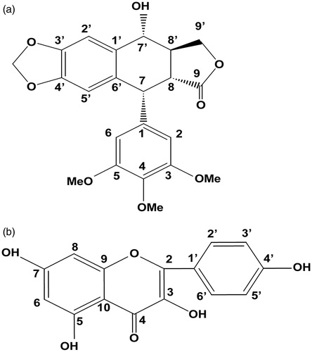 Figure 5. Chemical structures of podophyllotoxin (a) and kaempferol (b). Numbers represent the carbon positions.