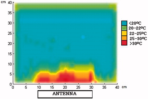 Figure 17. IR temperature profile at the central plane of the Plexiglas containers.