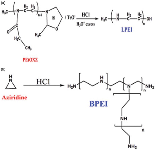 Figure 12. Synthesis of (A) LPEI by acid hydrolysis of poly(2-ethyl-2-oxazoline) (B) BPEI by acid-catalyzed polymerization of aziridine.