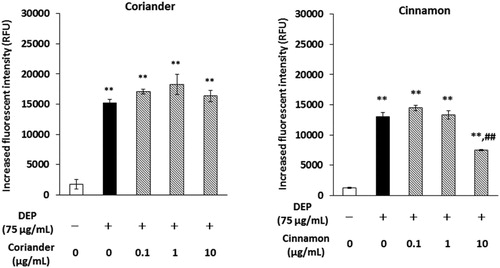 Figure 6. Effects of coriander or cinnamon extract on DEP-induced extracellular ROS. The extracellular level of ROS was measured after DEP and each extract reacted with CM-H2DCFDA fluorescent probe for 3 h. Data are represented as mean ± SE of four individual cultures. **p < 0.01, versus vehicle; ##p < 0.01, versus DEP.