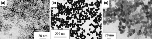 Figure 4. Magnetic nanoparticles prepared in solution by: (a) co-precipitation (maghemite). (b) Polyol process (Fe-based alloy). Reprinted from (CitationSugimoto 2000). (c) Microemulsions (maghemite).Reprinted from (CitationJalil et al. 2014).