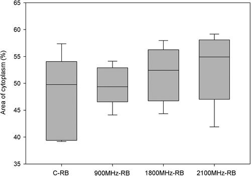 Figure 5. Area of cytoplasm (%) of neurons in the right brain lobes of rats in all groups. RFR groups compared with respect to the C-RB group, respectively. The differences between the groups are non-significant (C-RB vs. 900 MHz-RB p = 0.757; C-RB vs, 1800 MHz-RB p = 0.211; C-RB vs. 2100 MHz-RB p = 0.108). C-RB: Sham control-right brain lobes, 900 MHz-RB: 900 MHz-right brain lobes, 1800 MHz-RB: 1800 MHz-right brain lobes, 2100 MHz-RB: 2100 MHz-right brain lobes.