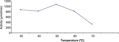 Figure 3.  Effect of temperature on immobilized A. parasiticus CD (0.006 mg/mL/bead) activity showing an optimum temperature of 50°C.