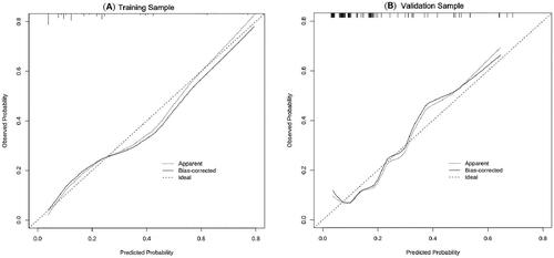 Figure 4. Calibration curves for training sample (A) and validation sample (B). The calibration curves for assessing the consistency between the predicted and the actual risk of POI. Favourable consistencies between the predicted and the actual risk evaluation are presented.