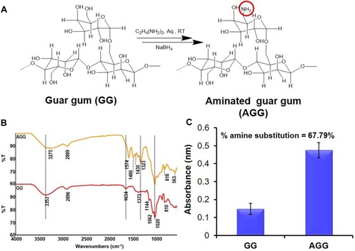 Figure 1 Modification of natural polymer guar gum (GG). (A) Synthetic scheme of amination of GG. (B) FTIR spectra showing the successful modification of GG to aminated guar gum (AGG). (C) Degree of substitution in the polymer backbone by TNBS assay.
