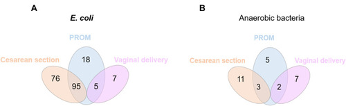 Figure 2 Analysis of the incidence rate of E. coli and anaerobes isolated in BSIs from patients according to cesarean or vaginal delivery due to PROM. Cases of patients infected with E. coli (A) and anaerobic bacteria (B) under cesarean section (yellow) or vaginal delivery (purple) are shown. Cases of patients who underwent cesarean section or vaginal delivery due to PROM are shown.
