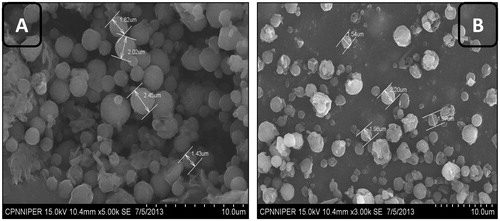 Figure 1. SEM images of (A) isoniazid- and (B) rifampicin-loaded guar gum porous nanoaggregates.