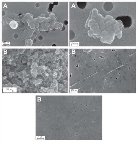 Figure 2 Images of AgNp particles obtained in the experiment without PGA (A) and with 0.4% PGA (B).Abbreviations: FESEM, field emission scanning electron microscope; PGA, poly-α, γ, L-glutamic acid