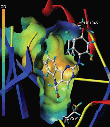 Figure 4.  The Molecular Computer Aided Design (MOLCAD) Robbin and multi-channel surfaces structure displayed with cavity depth (CD) potential of the adenosine triphosphate pocket of VEGF-R2 (PDB code: 1Y6A) within compound 29. The cavity depth colour ramp ranges from blue (low depth values = outside of the pocket) to light red (high depth values = cavities deep inside the pocket).
