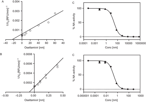 Figure 2.  Dixon plots for inhibition of oseltamivir free acid on N1 (A) and N3 (B). Titration curve of oseltamivir free acid with recombinant neuraminidase subtype 1 (C) and 3 (D). The reported data are the average of a triplicate experiment.